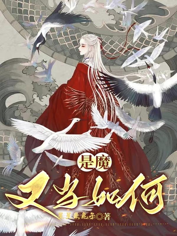 是魔又当如何