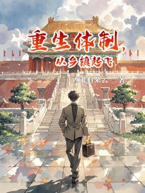 重生体制,从乡镇起飞